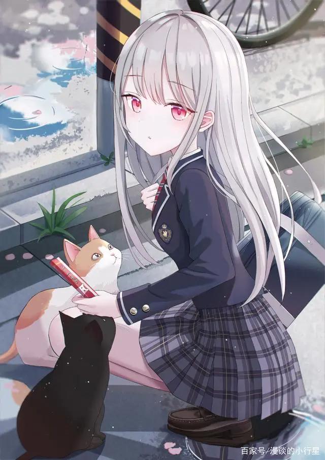 动漫少女:超美壁纸推荐,猫咪女孩系列,一起学猫叫吧!