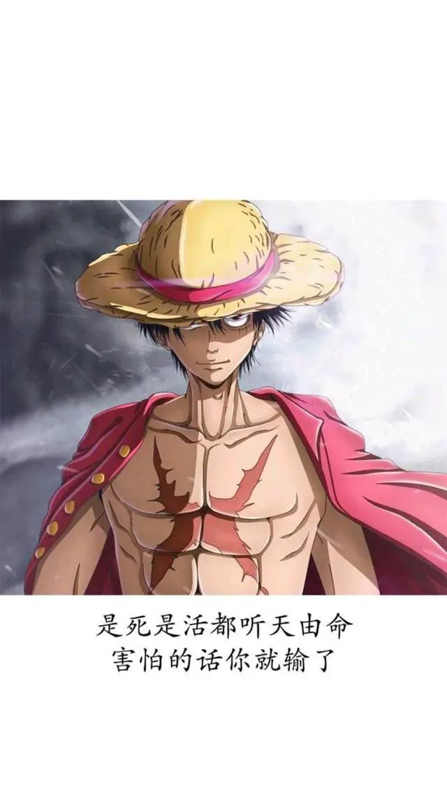 二次元壁纸，14张高清的海贼王壁纸，喜欢的快收下