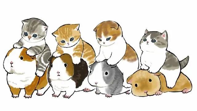 精选动漫猫咪美图，每张都“萌化了”，铲屎官：好可爱，我全要了