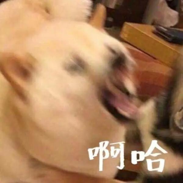 动漫情头，快和你喜欢的人用起来吧。高清大图，自行抱走