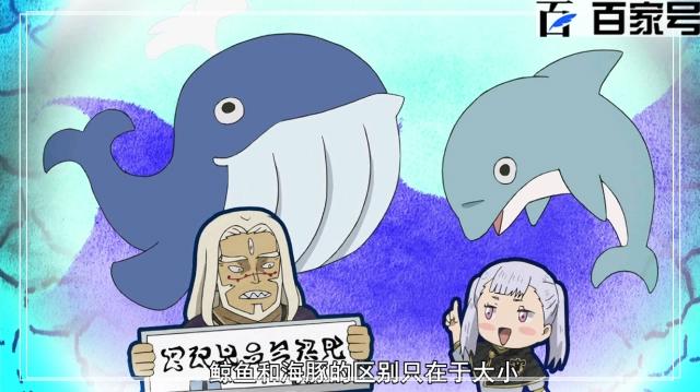 我的黑色四叶草：高人气日本动漫拿走不谢，经典动漫图片赏析