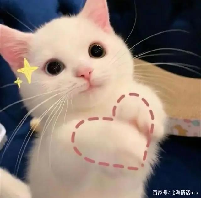 卡通动漫情侣头像丨你的眼眸，温暖了我整个四季