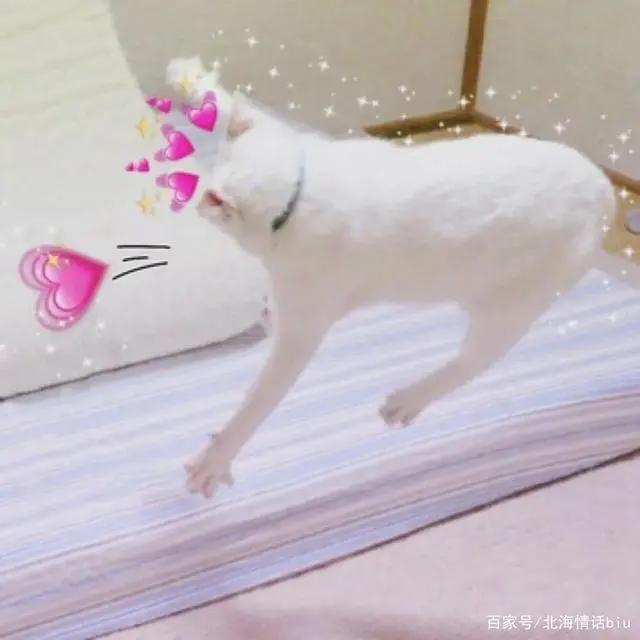 卡通动漫情侣头像丨你的眼眸，温暖了我整个四季