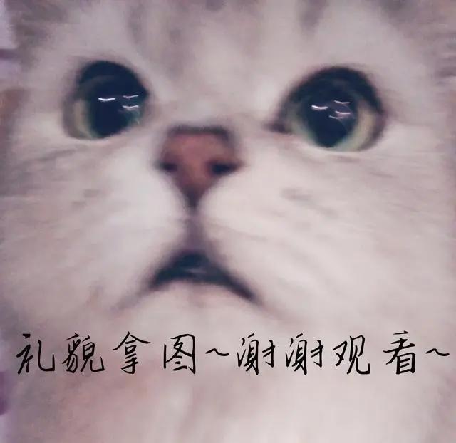 「动漫」可爱头像