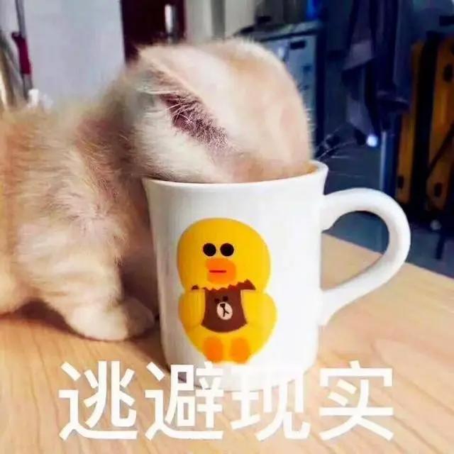 沉迷于二次元世界的几大症状，全部中招？离进入二次元世界不远了