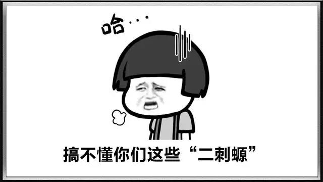 “二刺螈”、“二次猿”，贬义化的二次元，让人越来越不敢承认
