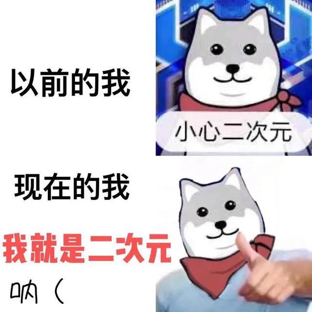 何为“二次元”?有的人听见这词觉得找到了同类,有的人觉得别扭
