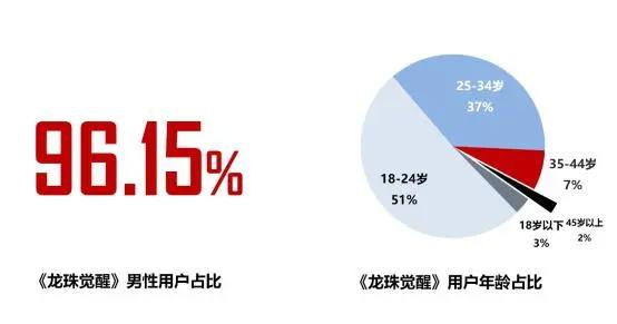 《2019年二次元游戏用户行为分析报告》（全文5000字）