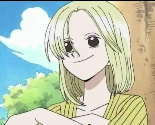 网友评选《海贼王》美女Top10第一名绝对超乎想象