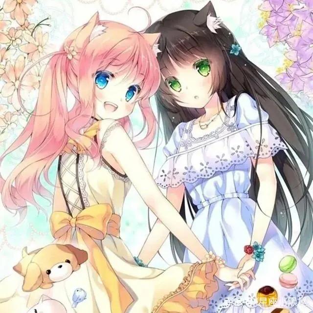 十二星座专属的二次元猫耳美少女,天秤座的最美,水瓶的不敢直视