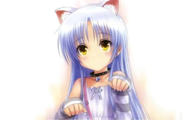 二次元美女之最美猫耳娘，有你喜欢的角色吗？