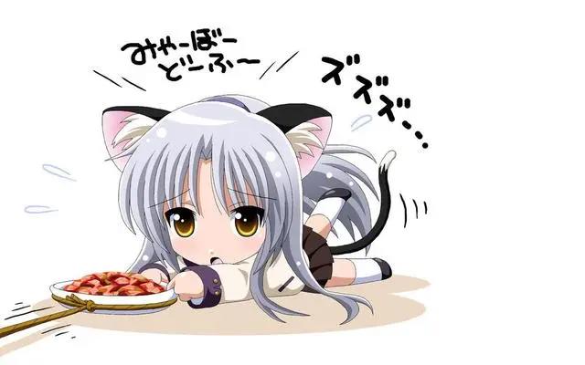 二次元美女之最美猫耳娘，有你喜欢的角色吗？