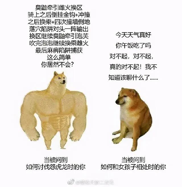 十年“拯救大龄二次元”的变与不变