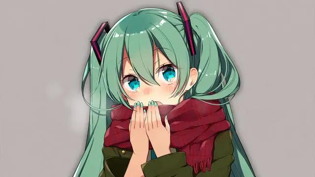 别骂了,我真不是二次元,到底是什么意思?
