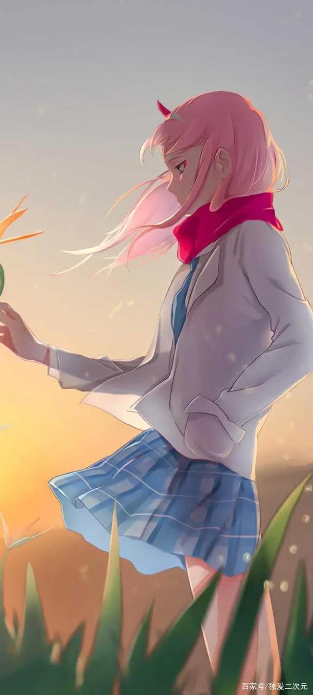 二次元空间