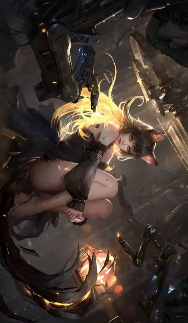二次元空间