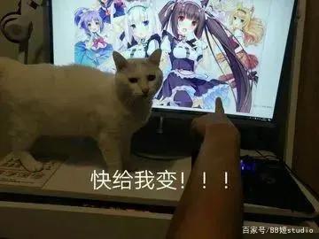 让人变成纸片人的动漫滤镜火了