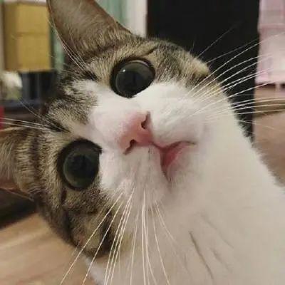 OMG|头像玄学,是谁的前男友又中招了?