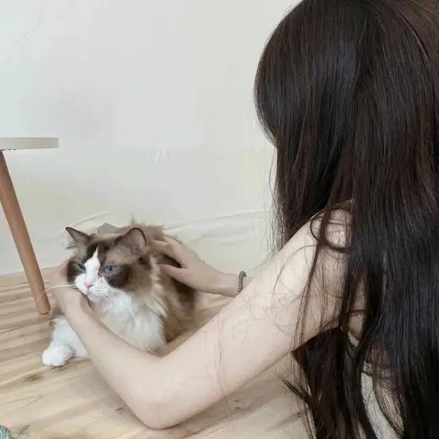 潮流男头女头，动漫潮头。(要想谈恋爱，头像要换快！)