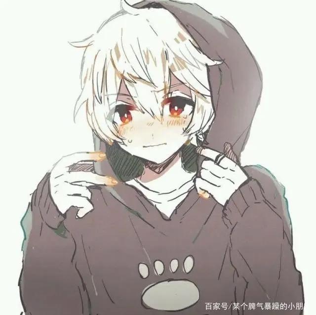 动漫男头白发动漫小哥哥哦～