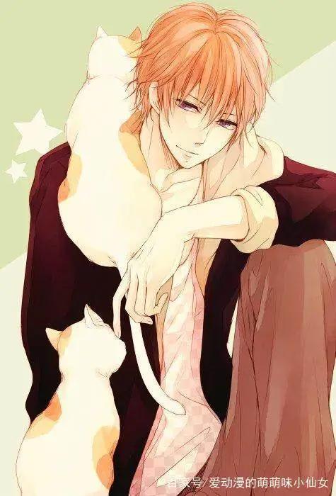 抱着猫的动漫男生头像拥有了一只猫就像拥有了全世界