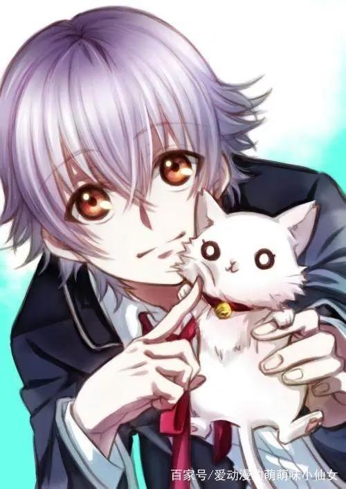 抱着猫的动漫男生头像拥有了一只猫就像拥有了全世界