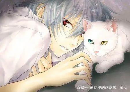 抱着猫的动漫男生头像拥有了一只猫就像拥有了全世界