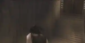 《天诛·红》一部关于女忍者的时代剧：“愿世间险恶随红花凋散”