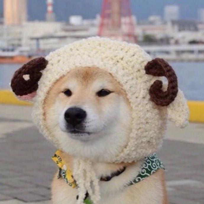 有没有可爱又不明显的情侣头像？