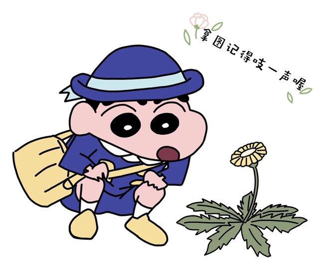 【动漫情头】爱是相互的，互相迁就才最长久，双向奔赴才有意义