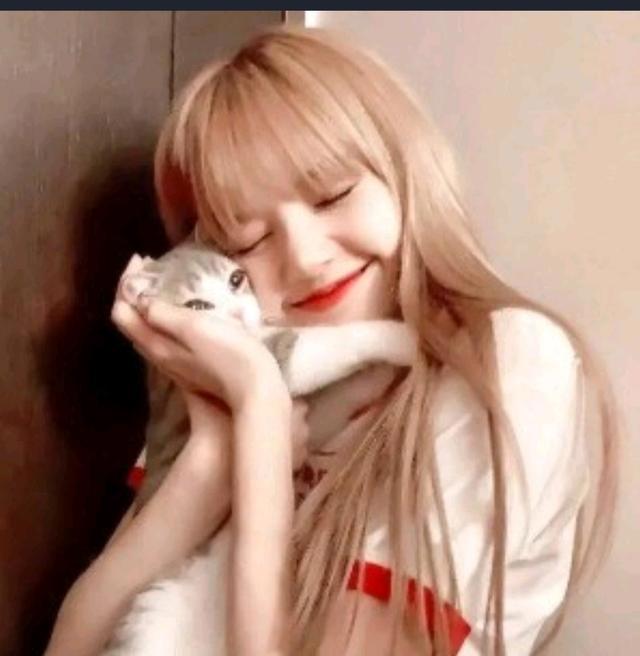 猫咪头像，喜欢喵星人的朋友在哪里