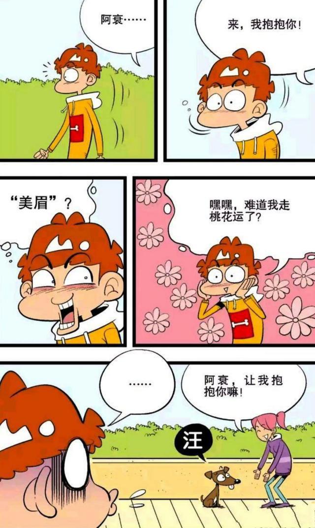 阿衰:名字够“衰”,美好桃花运就这么飞了,狗狗:我要改名!