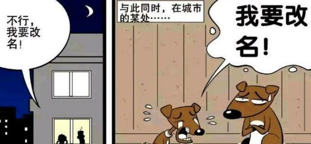 阿衰:名字够“衰”,美好桃花运就这么飞了,狗狗:我要改名!