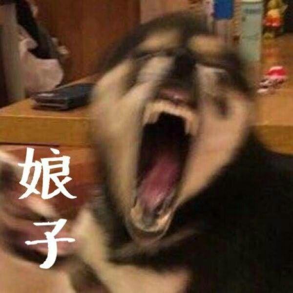 一大波动漫情头即将来袭——第一期