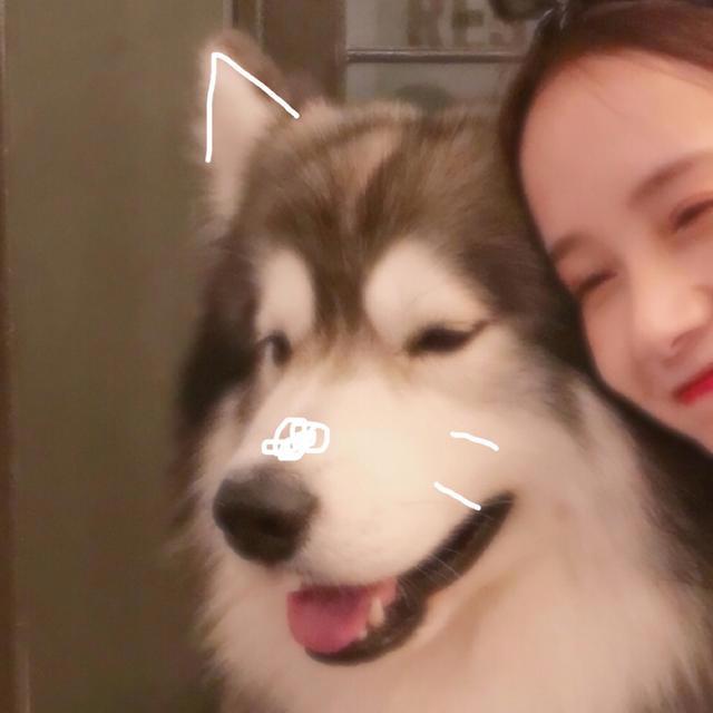 「动漫情头」几组可爱有趣的情头,幸福狗粮来得这么快!