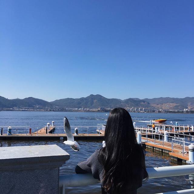 第528期｜背影头像：0105优质星空闪亮动漫 真人背影女生头像