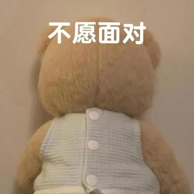 老外震惊:风景、动物、动漫人物……中国人的社交头像怎么不用自己照片?丨夜听双语
