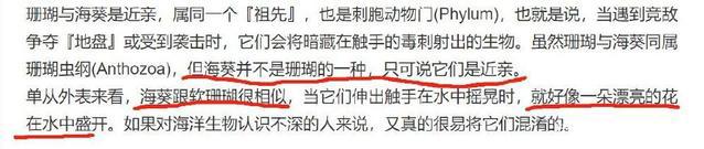 第五人格调香师的cp官方设定原来她!脑洞大开的恶趣味又来了!