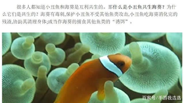 第五人格调香师的cp官方设定原来她!脑洞大开的恶趣味又来了!