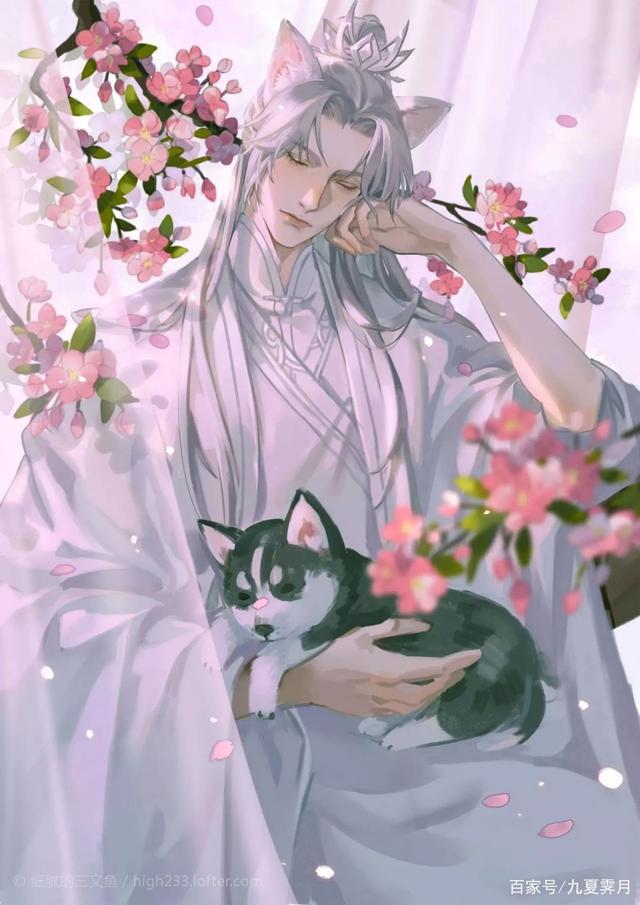 《二哈和他的白猫师尊》:楚晚宁和墨燃对师昧的情义终究是错付了