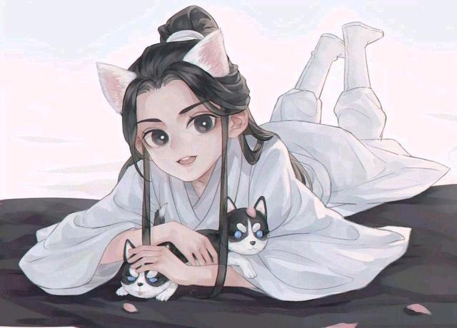 《二哈和他的白猫师尊》:历经两世波折终于换来圆满结局