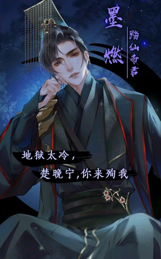 二哈和他的白猫师尊,本座长得这么好看,楚晚宁为什么不喜欢