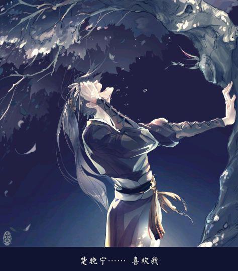 二哈和他的白猫师尊，本座长得这么好看，楚晚宁为什么不喜欢