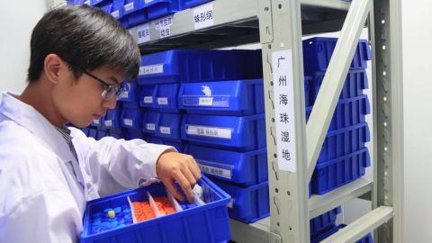 广州发现稀有新物种!以“海珠”命名!