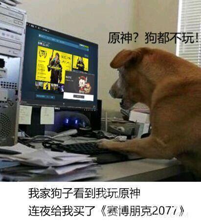 原神？2077？我直接充了永久的P站会员！