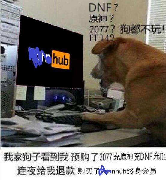 原神?2077?我直接充了永久的P站会员!