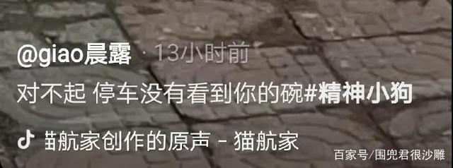 原神?2077?我直接充了永久的P站会员!