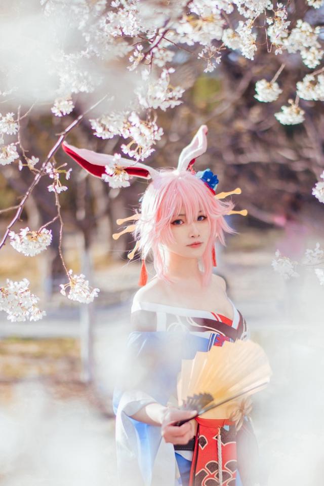 崩坏3:八重樱超美cos,左手持刀,右手执扇,漫天樱花美如画