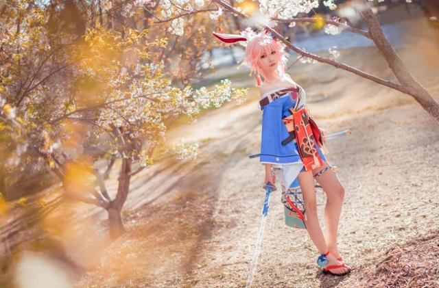 崩坏3:八重樱超美cos,左手持刀,右手执扇,漫天樱花美如画