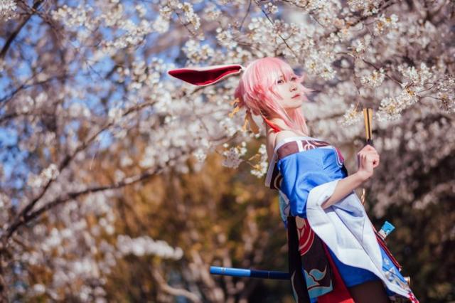 崩坏3:八重樱超美cos,左手持刀,右手执扇,漫天樱花美如画